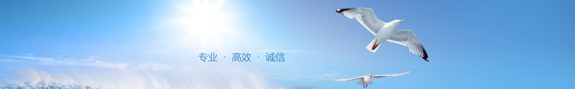 公司新闻